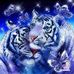 Terry Acord - Facebook