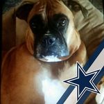 Terry Adair - @terry.adair.752 - Instagram