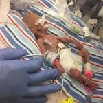 Terry Adair - @jordansdad231205 - Instagram