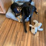 Terry Appelt - @terryappelt - Instagram