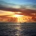 Terry Appleton - Facebook