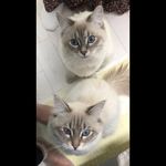 Archie아치 & Terry테리 - @archie__terry - Instagram