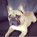 Archie Pett - @archie_john_terry_pett - Instagram