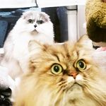ＴＥＲＲＹ&ＡＲＣＨＩＥ - @terry_archie - Instagram