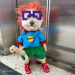T E R R Y - @terryardila - Instagram
