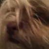 Terrie Arsenault376 - @terbearr39 - TikTok