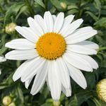 Terry Washburn - @washburn.terry - Instagram