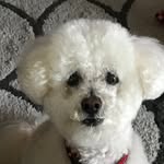 terry ashley - @terryashley6 - Instagram