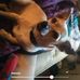 Terry Ashlock - Facebook