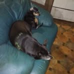 Terry Atha - Facebook