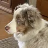 terryaugustinepue - @terryaugustinepue - TikTok