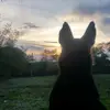 @Terry❤️Ayala🐺 - @sylphiette2024 - TikTok