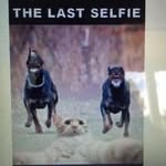 Terry Babb - @terrybabb3 - Instagram