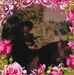 Terry Babb - Facebook