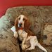 Terry Babb - Facebook