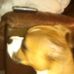 Terry Bach - Facebook