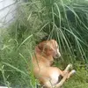 terrybaer7 - @tj85693 - TikTok
