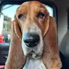 Terry Bane - @terry.bane - TikTok