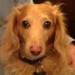 Terry Banta - @teebanta - Instagram