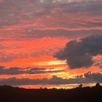 Terry Barbeau - @terrybarbeau - Instagram