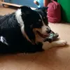 Terry barber - @terry.barber57 - TikTok