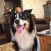 Terry Barber - Facebook