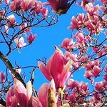 Terry Barley - @b2r277 - Instagram