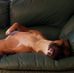 Terry Barringer - Facebook