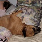 Terry Barringer - @terry.barringer.39 - Instagram