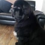 Terry Bartholomew - @terrybartholomew35 - Instagram