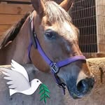 Terry Bartlett - @terrybartlett102 - Instagram