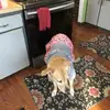 Terri Basham - @terri.basham - TikTok