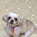 Terry Basler - Facebook
