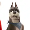 Terry - @terrybaton - TikTok