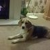 Terry Bax - Facebook