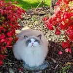Terry Baxter - @terry.baxter.3701 - Instagram
