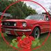 Terry Bayer - Facebook