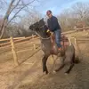 Terry Bayles - @terry.bayles - TikTok