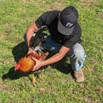 Terry Bayles - @terry_420_bayles - Instagram