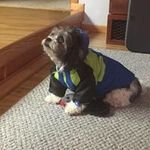 Terry Beaty - @beatyterry - Instagram