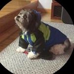 Terry Beaty - @baetyterry - Instagram