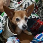 Terry Becraft - Facebook