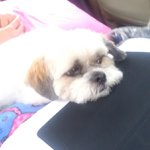 Terri Beeman - @benumun - Instagram