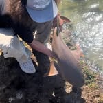 Terry Beeman - @terrybeeman08 - Instagram