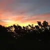 Terrybeemanofficial - @terrybeemanofficial - TikTok