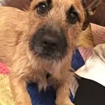 Terry Beerling - @terrybeerling - Instagram