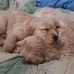 Terry Beesley - Facebook