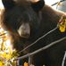 Terry Begley - Facebook