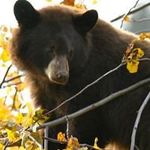 Terry Begley - @begley.terry - Instagram