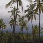 Terry Wyatt Behm - @wyattbehm - Instagram
